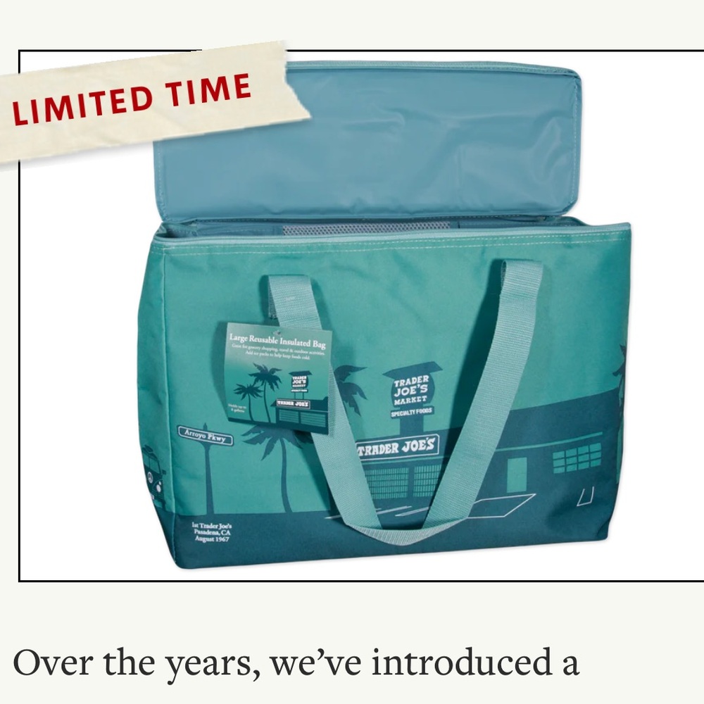 Trader Joe’s Teal Insulated Tote Bag